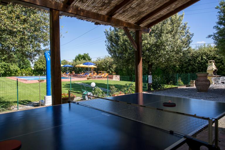 Agriturismo Casa Carlotta with swimming pool and large park near Cortona