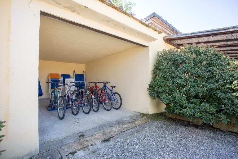 Agriturismo Casa Carlotta con piscina e ampio parco vicino a Cortona