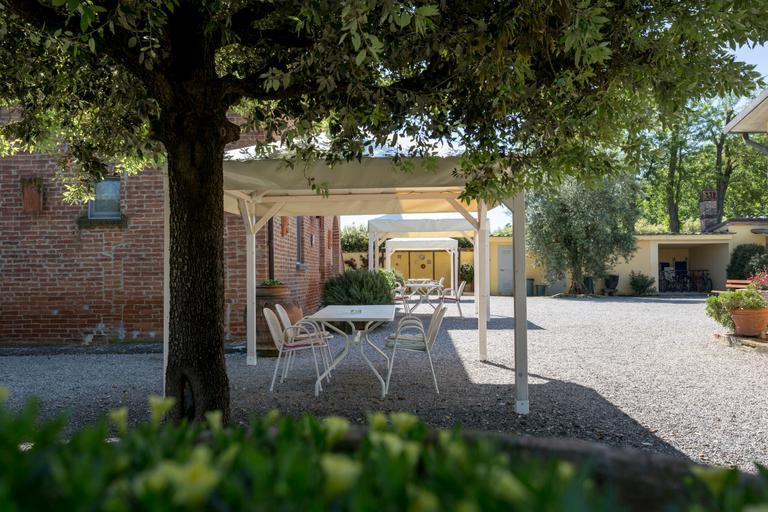 Agriturismo Casa Carlotta with swimming pool and large park near Cortona