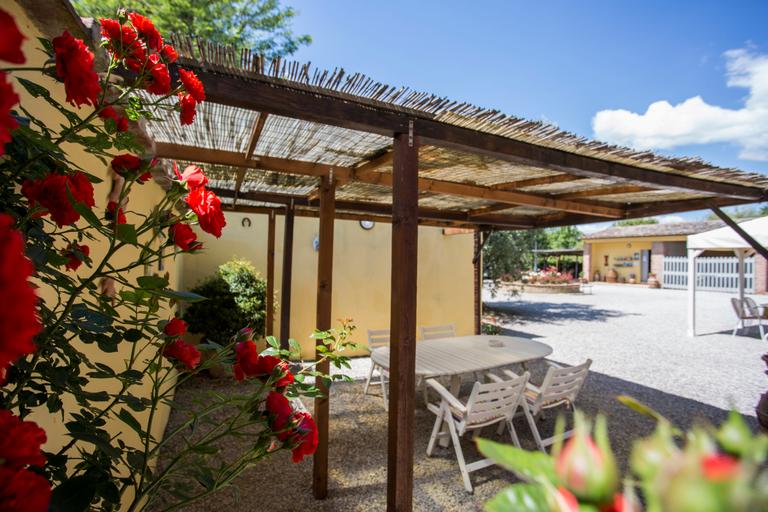 Agriturismo Casa Carlotta with swimming pool and large park near Cortona