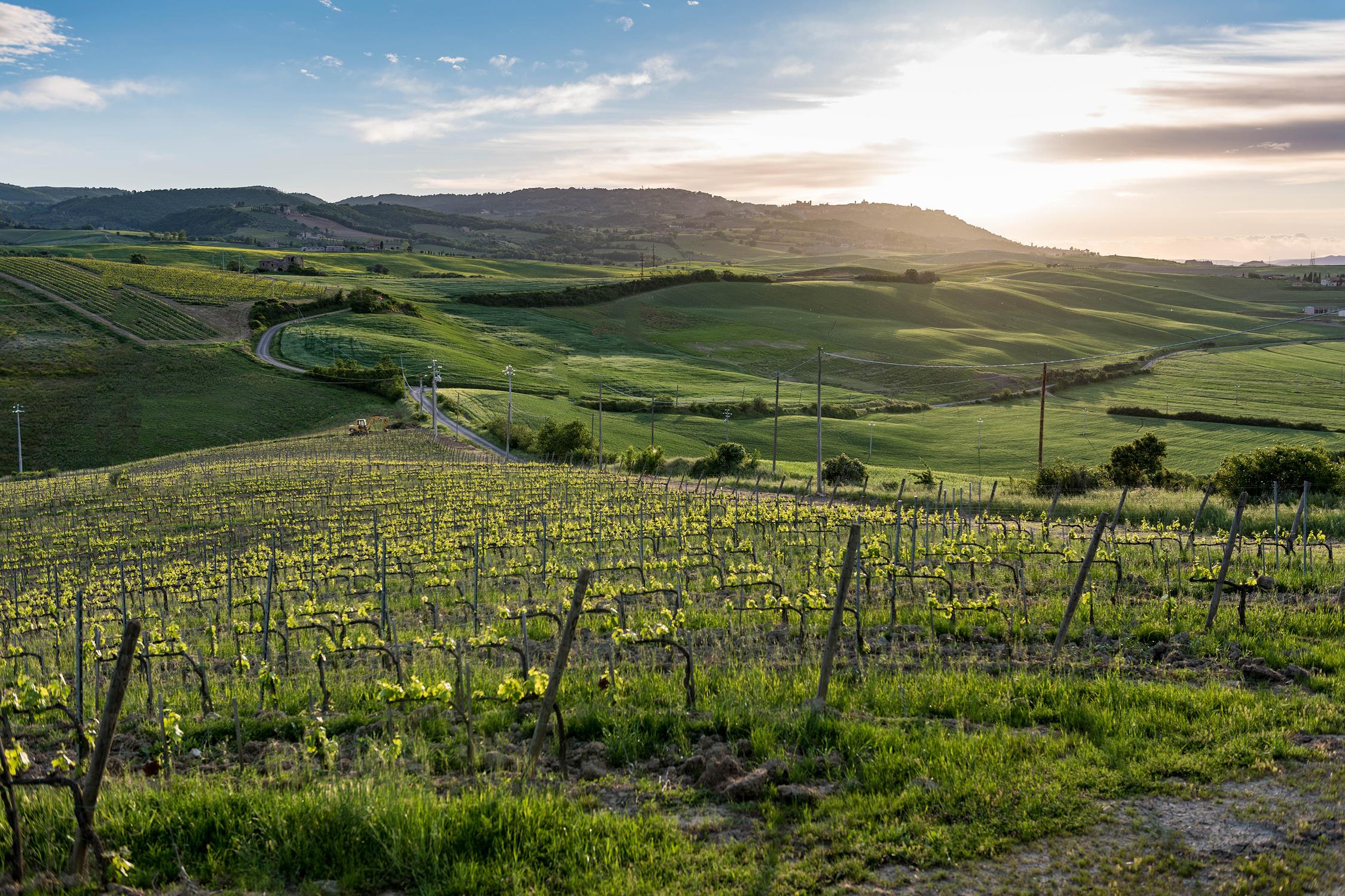 What to see in Tuscany and Umbria while staying at Casa Carlotta