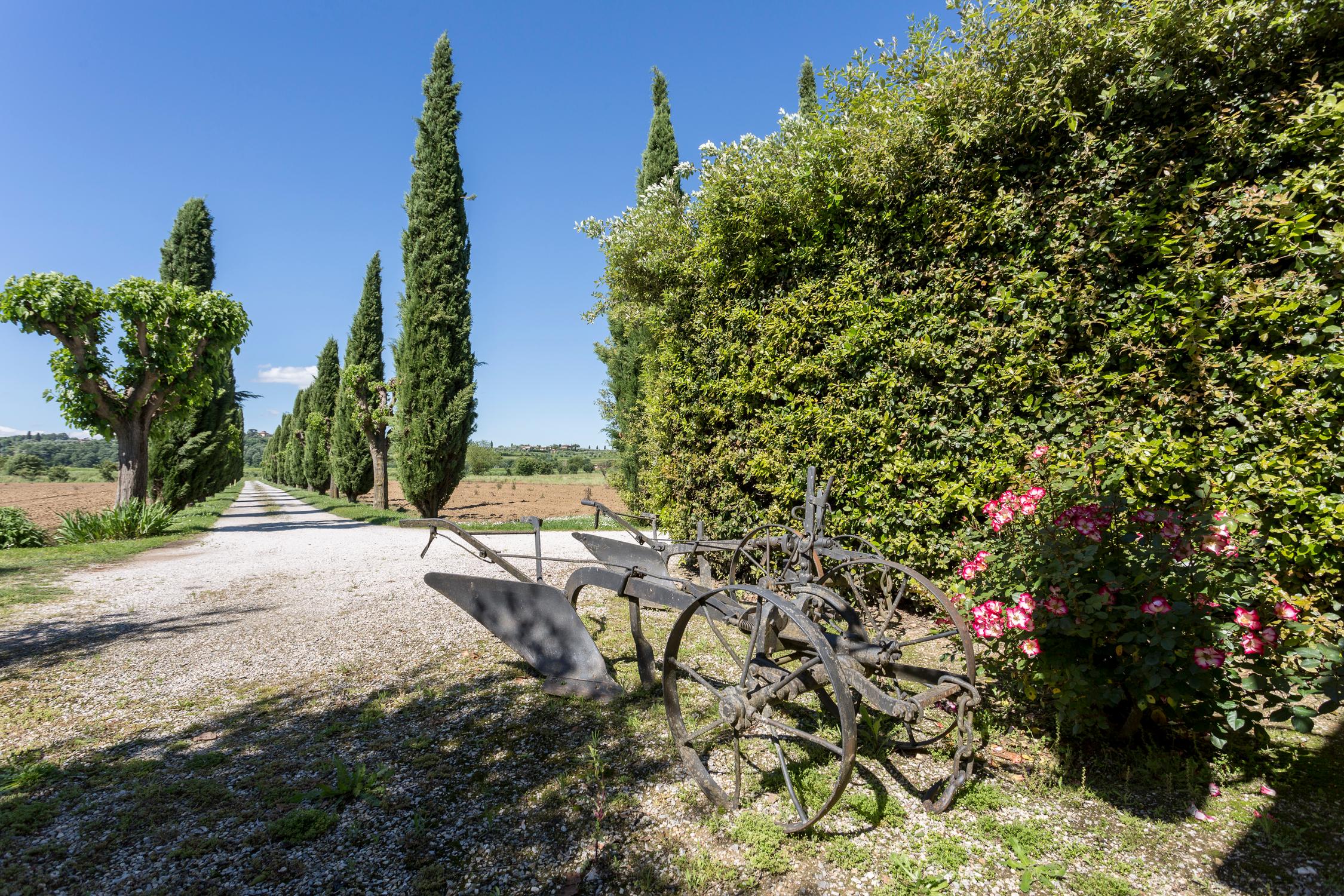 Casa Carlotta, the country house of Lodovichi farm in Tuscany