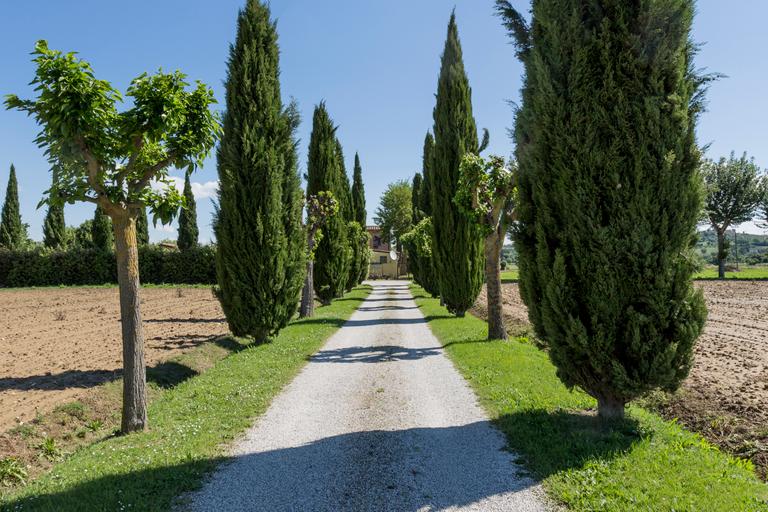 Agriturismo con piscina in Toscana tra Cortona e Foiano della Chiana