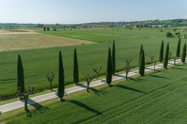 Farmhouse with swimming pool in Tuscany between Cortona and Foiano della Chiana