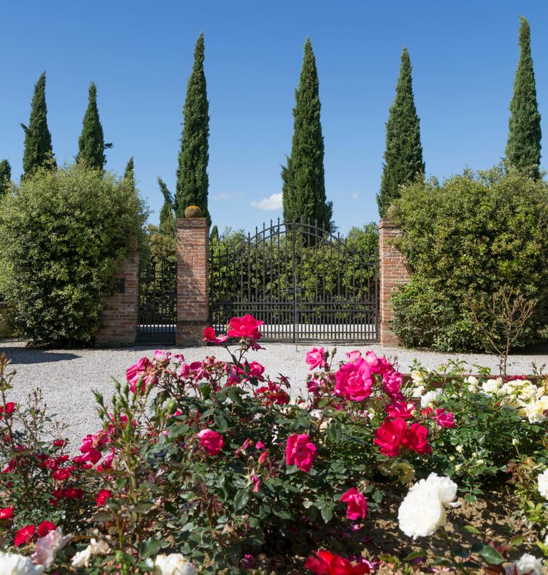 Foto Agriturismo Casa Carlotta Foiano della Chiana Arezzo