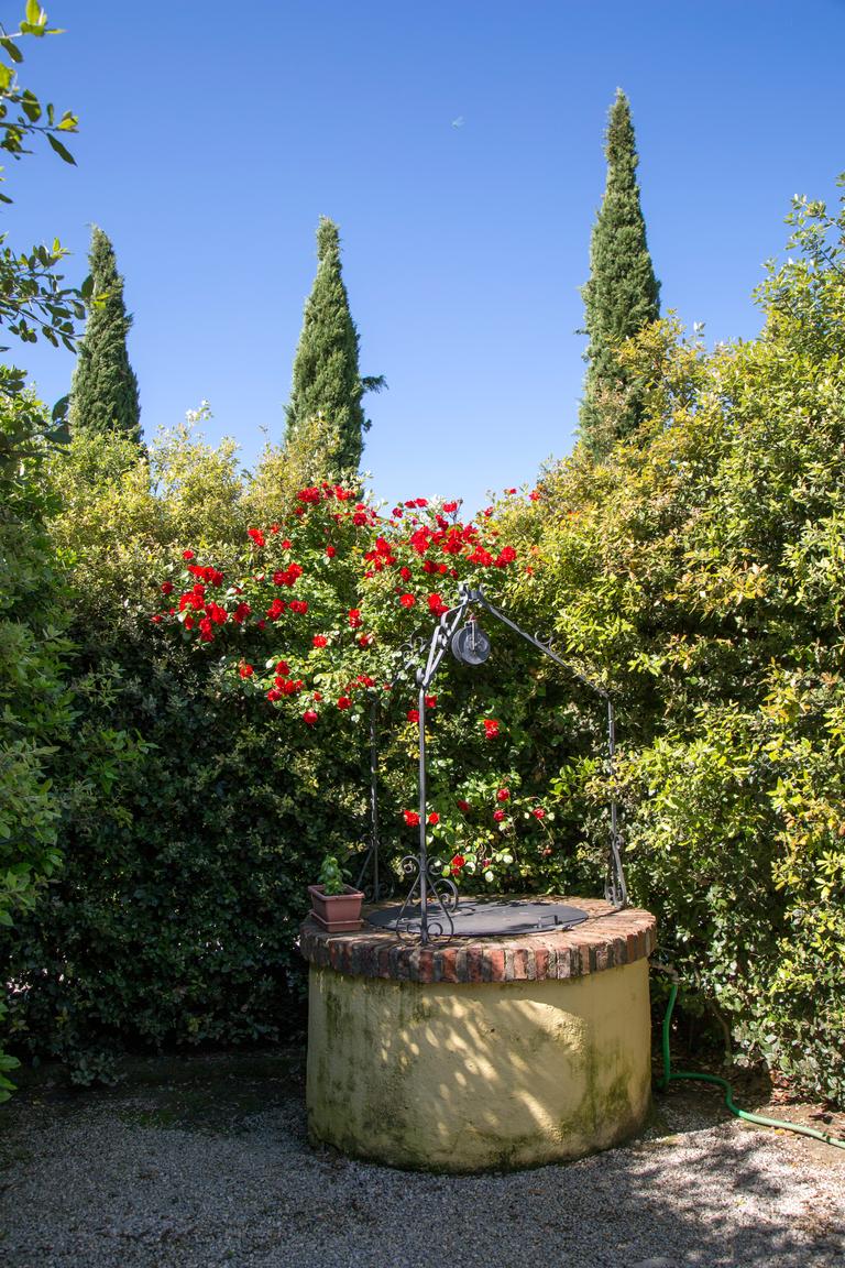 Foto Agriturismo Casa Carlotta Foiano della Chiana Arezzo